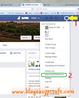 New Facebook News Feed Preferences Changes