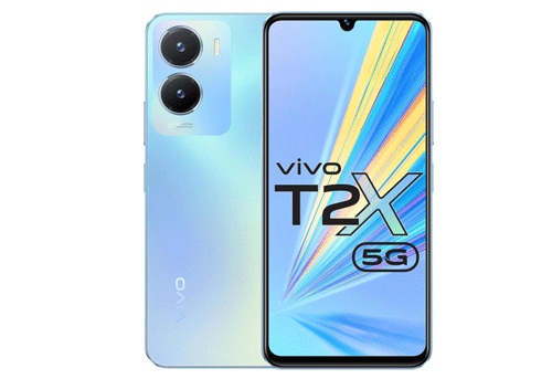 Vivo-T2x