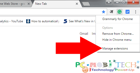 Google Chrome Manage Extensions