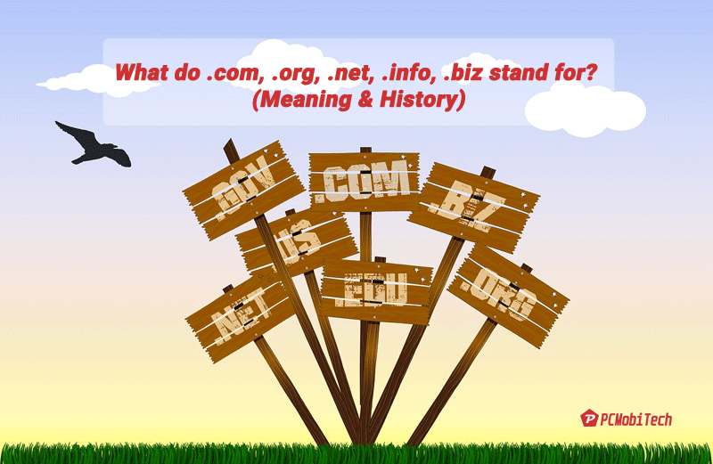 What do .com, .org, .net, .info, .biz stand for? (Meaning & History)